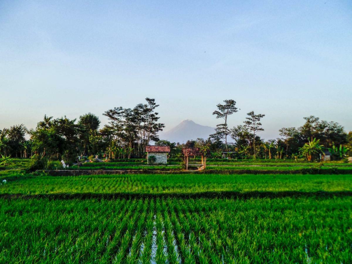 Joglo Yudhistira Villa Sleman  Exterior photo